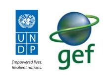 UNDP-GEF青海項目技術咨詢服務公開招標公告